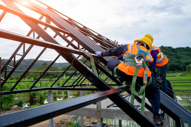 Best Roof Repair Services  in Marine, IL