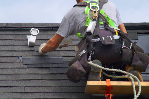 Best Roof Leak Repair  in Marine, IL