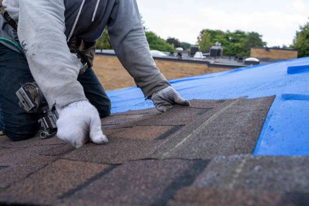 Best Commercial Roofing Services  in Marine, IL