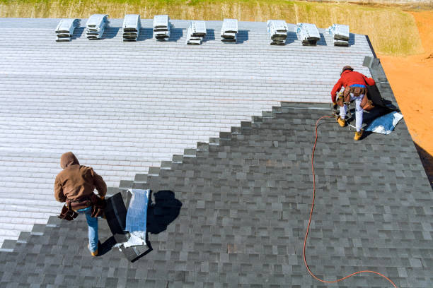Best Local Roofing Companies  in Marine, IL