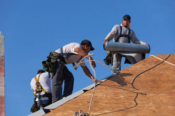 Best Flat Roof Repair Services  in Marine, IL