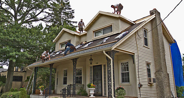 Best New Roof Installation  in Marine, IL