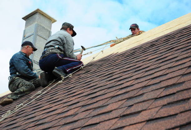 Best Emergency Roof Repair  in Marine, IL