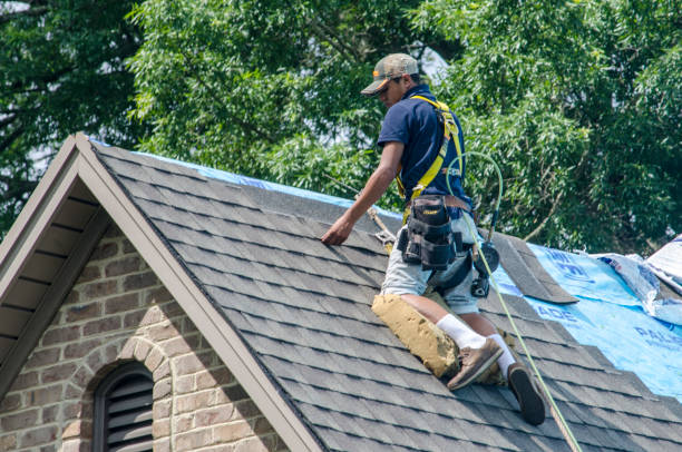 Best Roof Gutter Cleaning  in Marine, IL